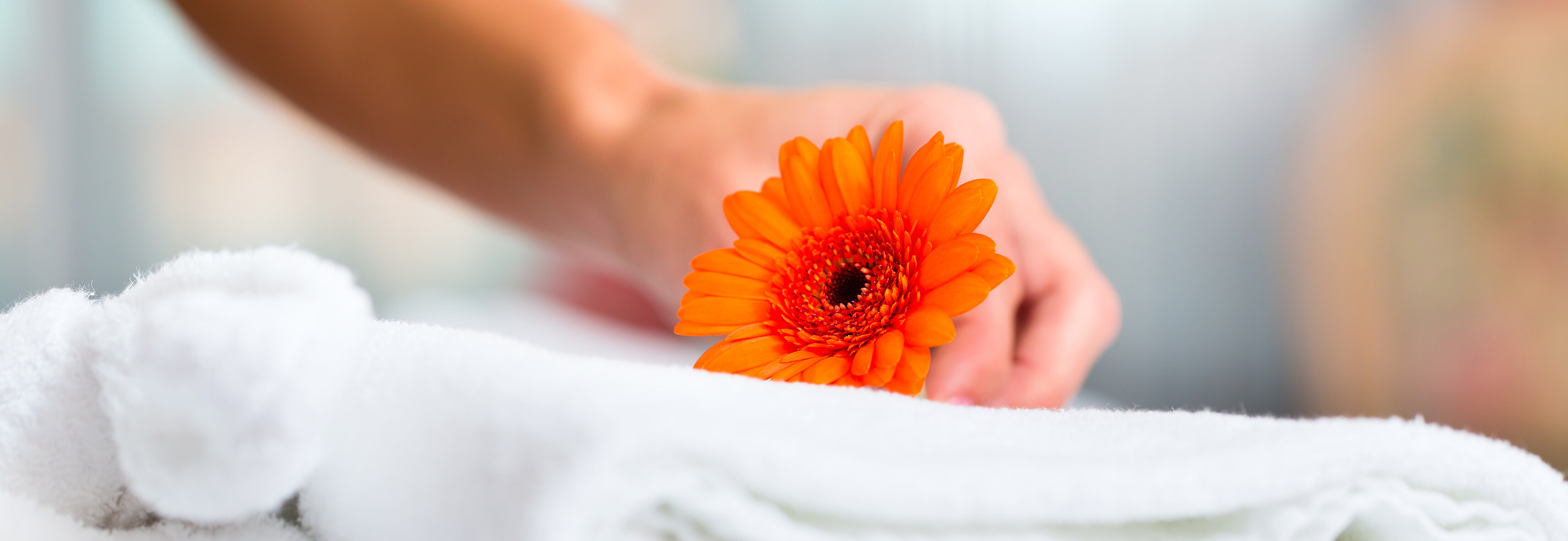 Szenenbild: Blume liegt auf einem weißen Handtuch