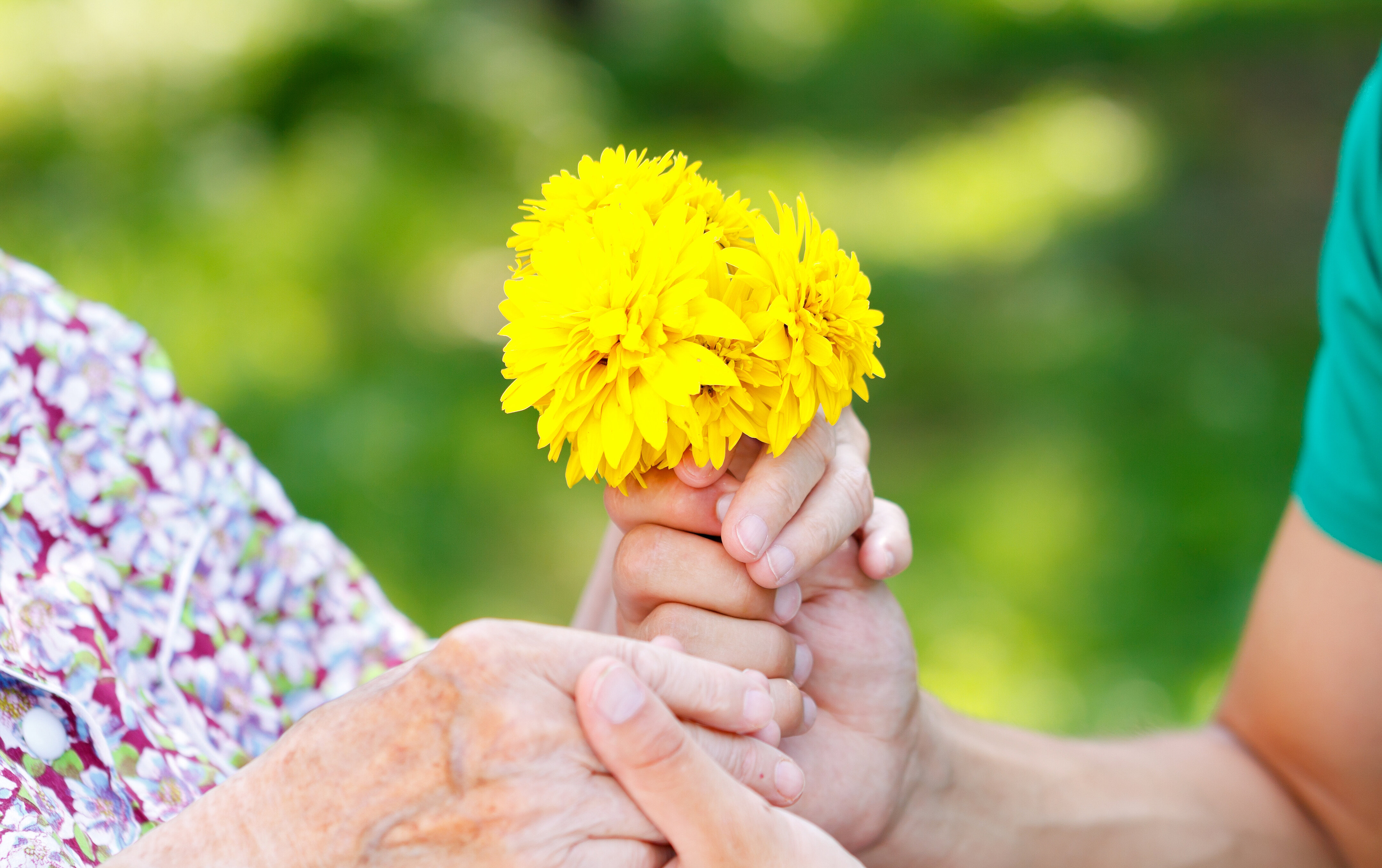 Szenenbild: Zwei Hände halten eine gelbe Blume